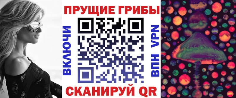 Псилоцибиновые грибы Psilocybine cubensis  Северо-Курильск 